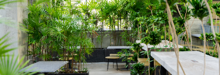 Outdoor café seating area with several tables and chairs surrounded by lush green plants and tall potted palms, creating a serene, natural atmosphere—just steps away from Joe's Airport Parking for ultimate convenience.