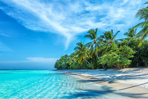 A tropical beach with clear turquoise water, white sand, and lush palm trees under a bright blue sky with wispy clouds—paradise feels just a ride away after leaving your car at Joe’s Airport Parking.