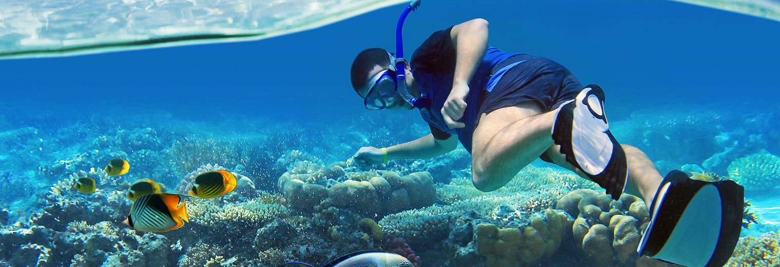 A person wearing snorkel gear and flippers swims underwater above a colorful coral reef, surrounded by several tropical fish in clear blue water—dreaming of their next adventure after parking at Joe's Airport Parking.