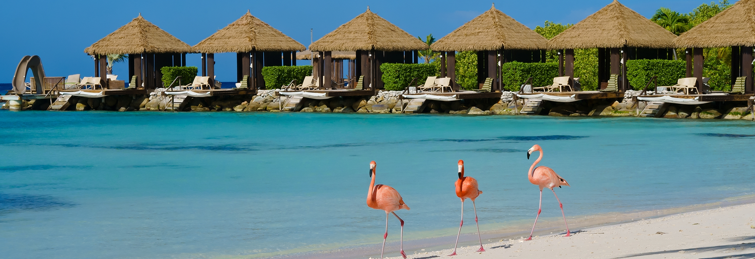 Three flamingos walk along a sandy beach with turquoise water, in front of thatched-roof cabanas and lounge chairs—far from the bustle of Joe's Airport Parking—set against a clear blue sky.