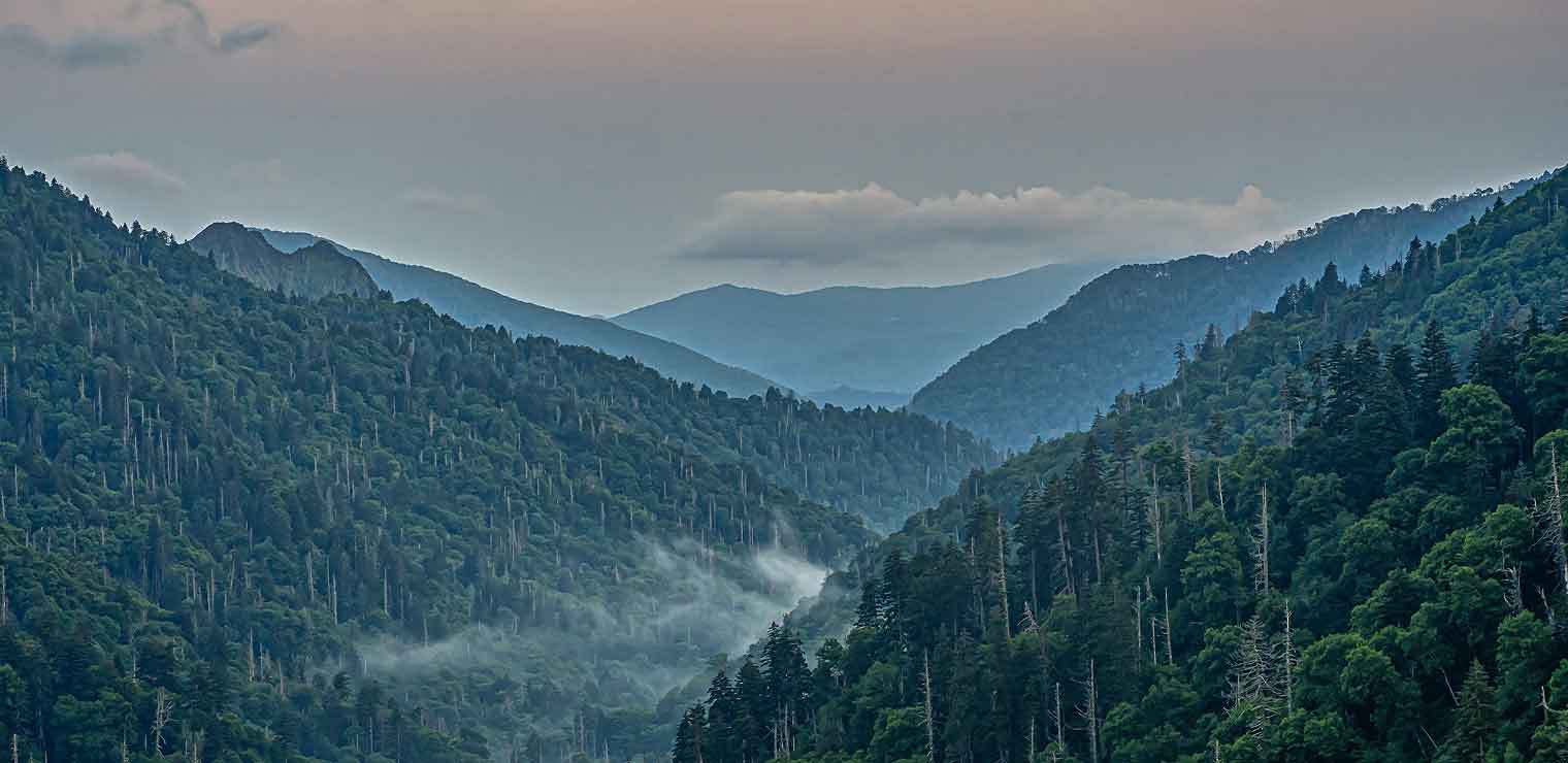 A scenic view of misty green mountains covered in dense forest, with layers of ridges fading into the distance under a cloudy sky at dusk, evokes the tranquility you feel after leaving your car safe at Joe's Airport Parking.