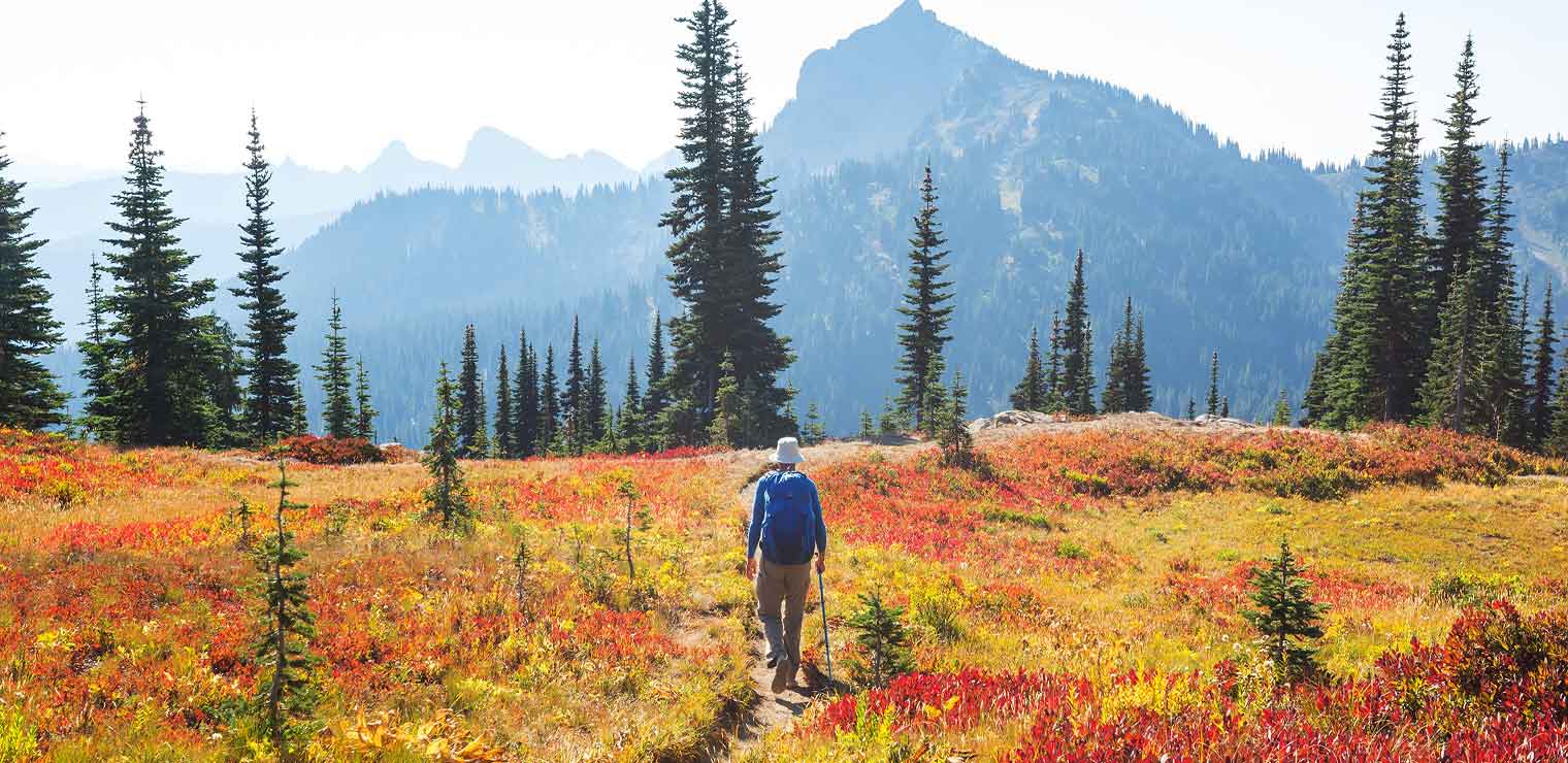A person with a blue backpack hikes along a trail through a colorful alpine meadow, surrounded by evergreen trees and mountains in the background under a clear sky—enjoying the freedom of nature after leaving their car safely at Joe’s Airport Parking.